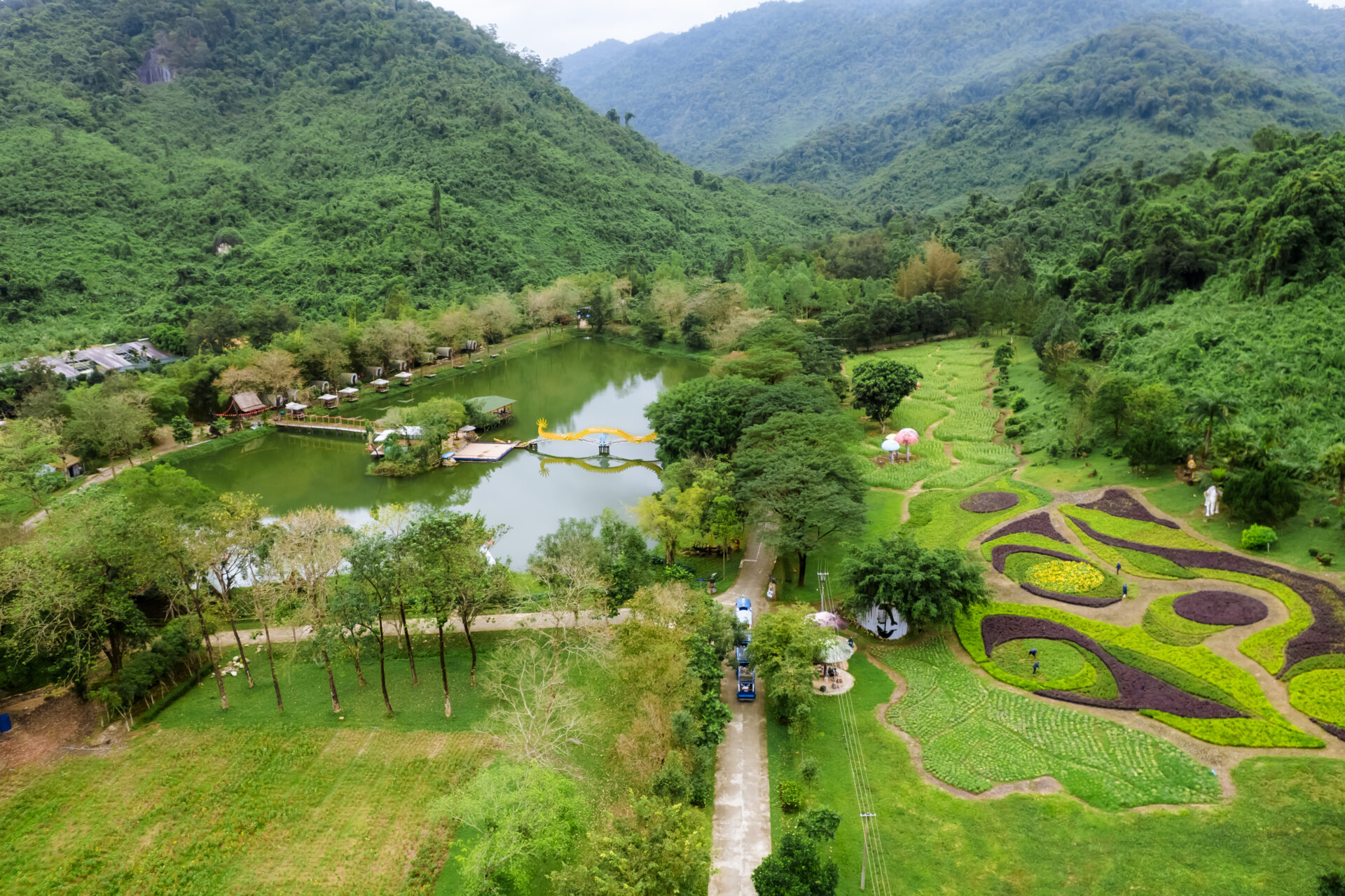 Yang Bay - Hơi thở thiên nhiên giữa đại ngàn 1 Không gian xanh mát mà thiên nhiên đã ưu ái ban tặng cho Yang Bay