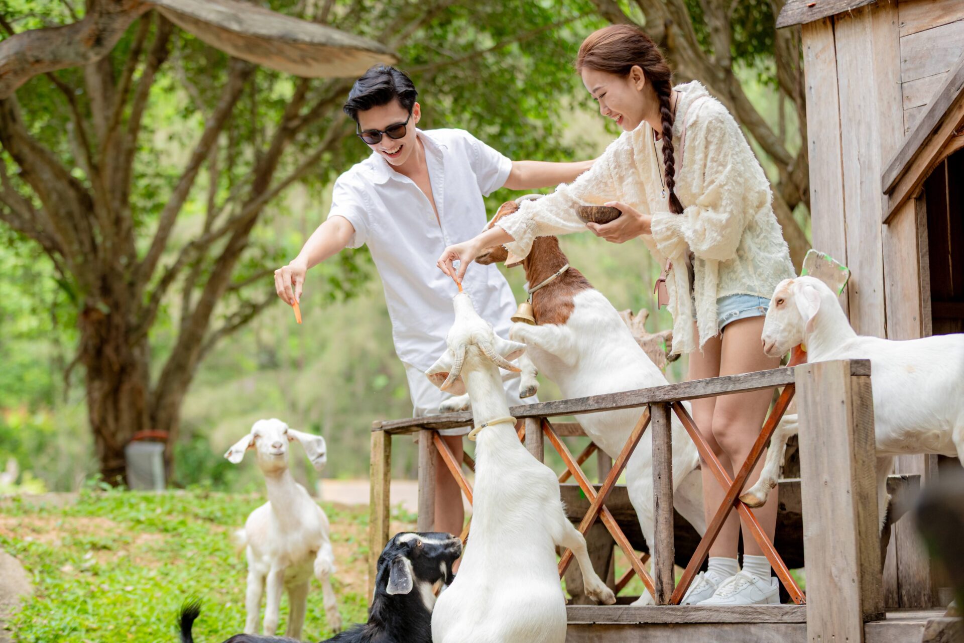 Yang Bay - Hơi thở thiên nhiên giữa đại ngàn 2 Du khách tiếp xúc thân thiện với động vật