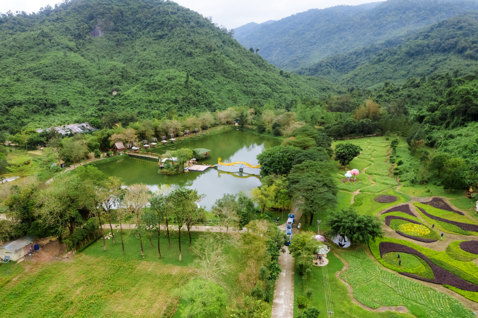Sắc lan rực rỡ nơi đại ngàn Yang Bay