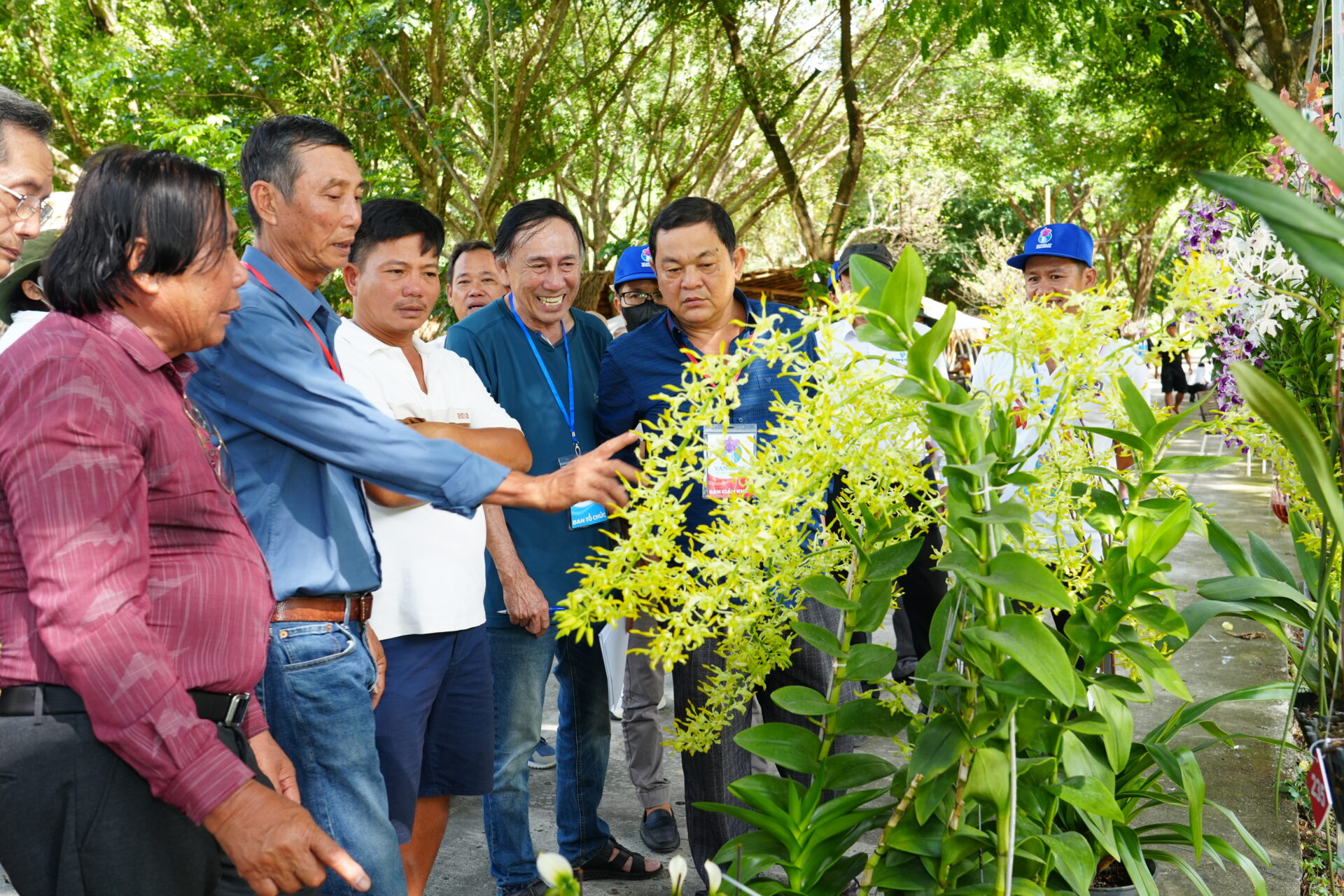 Sắc lan rực rỡ nơi đại ngàn Yang Bay