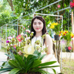Sắc lan rực rỡ nơi đại ngàn Yang Bay