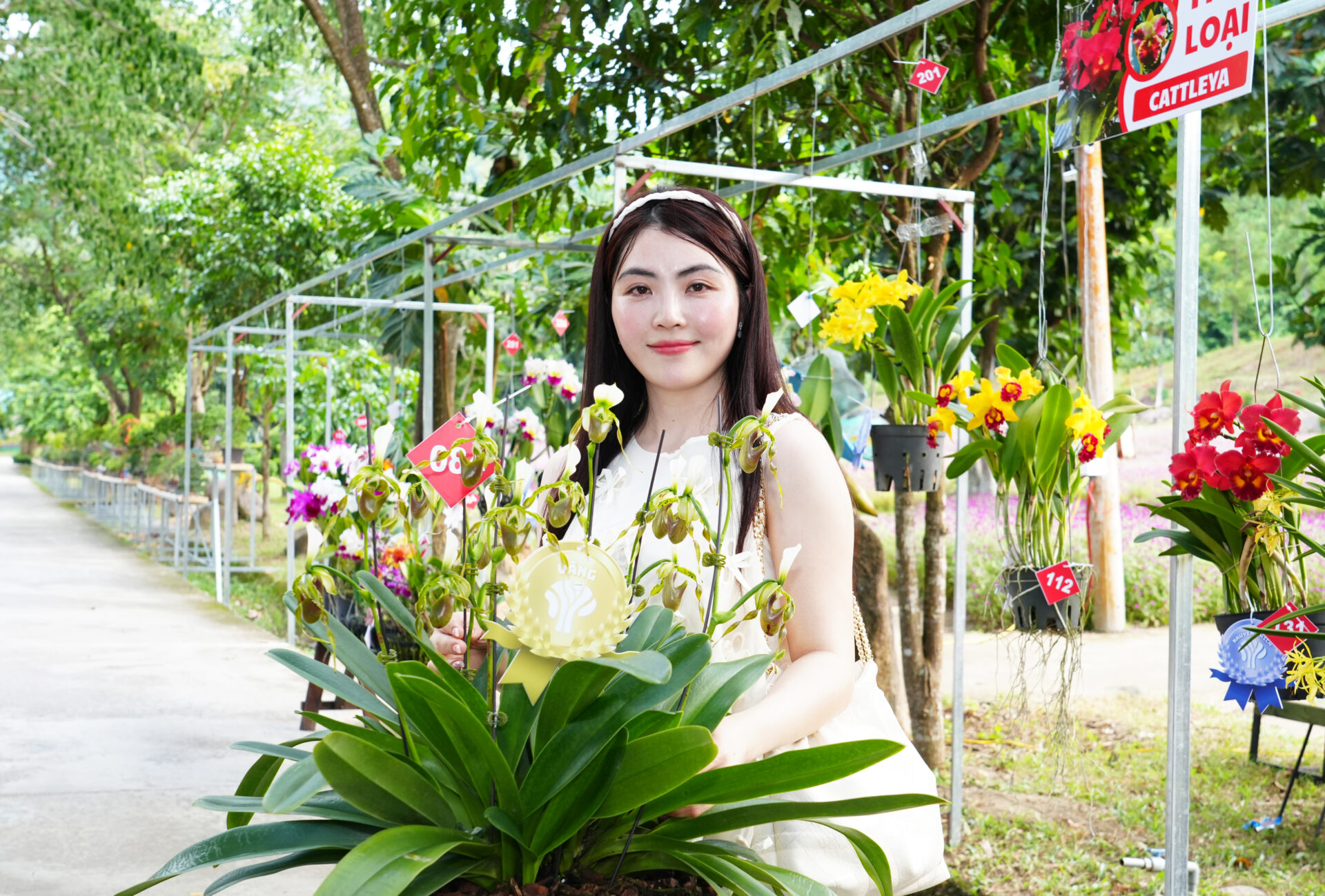 Sắc lan rực rỡ nơi đại ngàn Yang Bay
