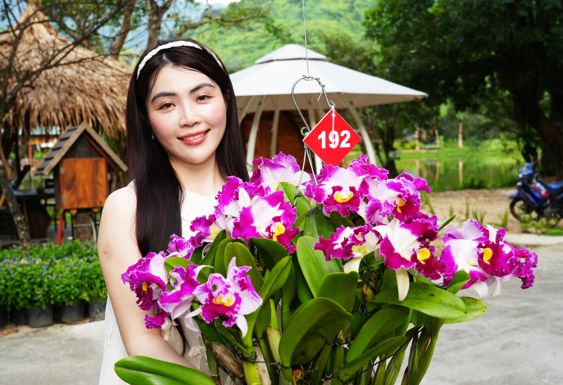Sắc lan rực rỡ nơi đại ngàn Yang Bay